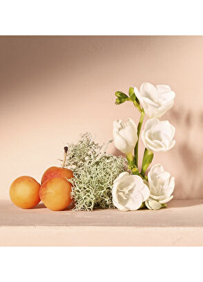 Chloe Nomade EDP 50 ml Kadın Parfüm - 4