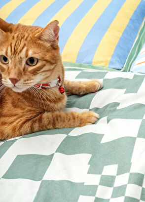 Patihaus Hypnogy Minder Kedi ve Orta Irk Köpek Yatağı - 4