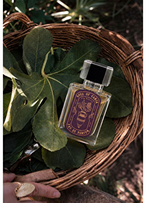 Soul of Caria Fig Royale EDP 50 ml Unisex Parfüm - 4