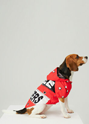 Little Monsters Kırmızı Medium Evcil Hayvan Kıyafeti - 4