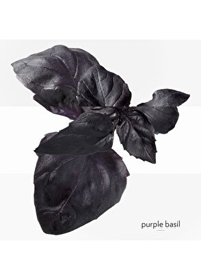 Hermès Collection Colognes Nomads Set 4x15 ml - 6