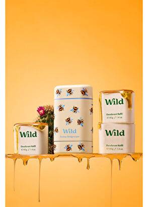Wild Honey Bee + Honey & Cactus Flower Stick Kadın Deodorant + Refill 40 gr - 4