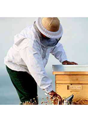 Guerlain Abeille Royale Dr 20 Ml Eye Serum - 9