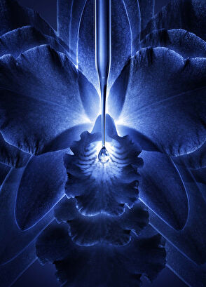 Guerlain gruerlaın Orchıdee Imperıal Lotıon 140ml - 6