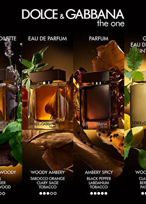 Dolce&Gabbana The One For Men Parfum 100ML - 7