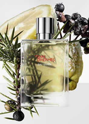 Hermès Terre D'Hermes Eau Givree EDP 175 ml Erkek Parfüm - 5