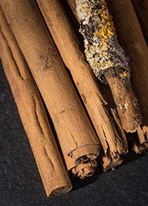 Maison Crivelli Bois Datchai EDP 100 ml Parfüm - 4