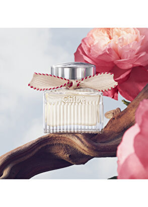 Chloe Signature Lumineuse EDP 50 ml Kadın Parfüm - 7