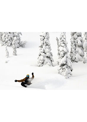 Lib Tech Orca 2025 Men's Snowboard - 6