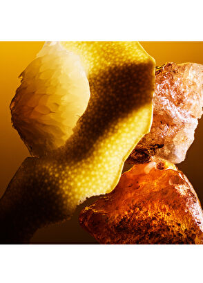 Bvlgari Le Gemme Tygar Extrait 60 ml - 3