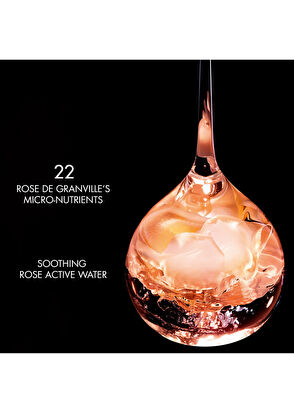 Dior Prestige La Micro-Brume de Rose - 5