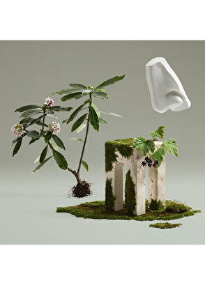 Penhaligon's Daphne Bouquet EDP 100 ml Unisex Perfume - 4