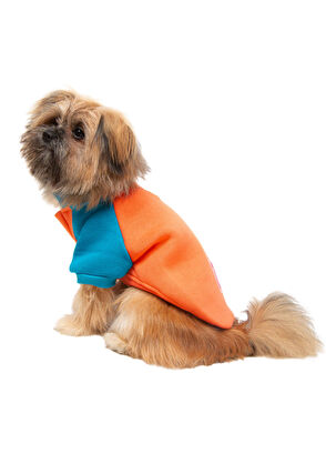 CocoMilk Puppy Blue Garnish Small Breed Dog Sweatshirt - 4