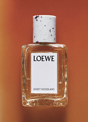 Loewe LOEWE Sweet Woodland EDP 100ml Unisex Perfume - 4
