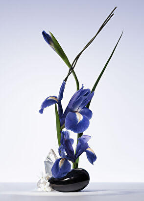 Giorgio Armani Armani/Privé Iris Bleu EDT 100ml - 4