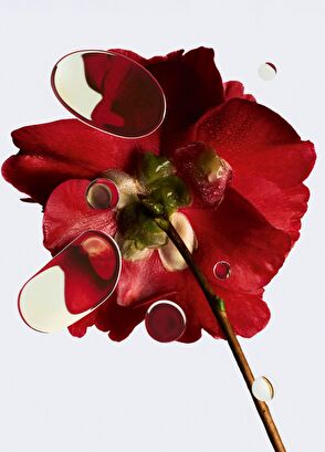 CHANEL N°1 De Chanel Revitalizing Foundation Bd121 30Ml - 6