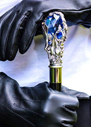 Pasotti Black Luxury Umbrella with Blue Stone Handle - 8