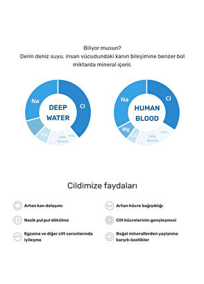 Round Lab 1025 Dokdo Lotion Nemlendirici ve Bariyer Koruyucu Hyaluronik Asitli ve Mineralli Ödüllü Losyon 200ml - 7