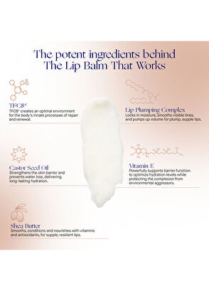 Augustinus Bader The Lip Balm 4 gr - 7