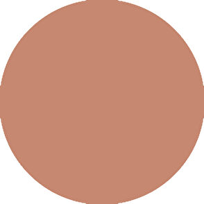 Guerlain Terracotta Origrinal Compact Pudra 02 - 8