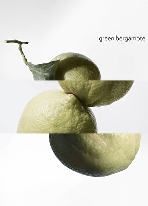 Hermès Eau De Basilic Pourpre Edc 100 ml - 6