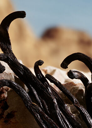 Dolce&Gabbana Q by Dolce&Gabbana Parfum 100ML - 5