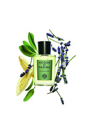 Acqua di Parma Colonia Futura EDC 100 ml Parfüm - 3