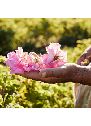 Guerlain Aqua Rosa Rossa Harvest EDT 125 ml Kadın Parfüm - 5