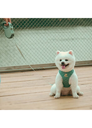 True Love Automatic Orange Dog Leash - 5