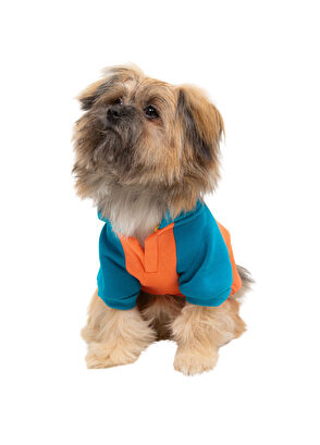 CocoMilk Puppy Blue Garnish Small Breed Dog Sweatshirt - 3