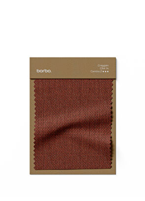 Borbo Clay Red Metal Frame Armchair with Wooden Armrests - 6