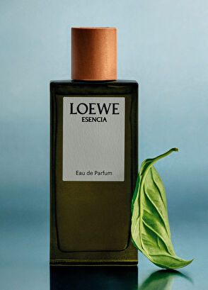 Loewe Essencia EDP 50 ml Erkek Parfüm - 5