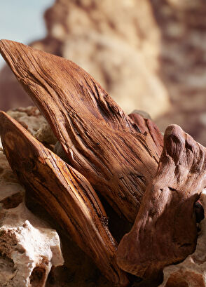 Dolce&Gabbana K by Dolce&Gabbana Parfum 50ML - 4