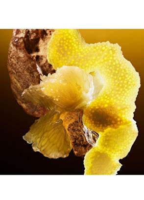 Bvlgari Le Gemme Tygar EDP 125 ml Unisex Parfüm - 7