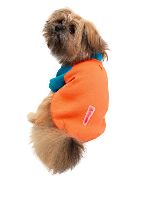 CocoMilk Puppy Blue Garnish Small Breed Dog Sweatshirt - 5