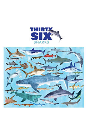 Crocodile Creek Köpek Balıkları Temalı 100 Parça Çocuk Puzzle - 4