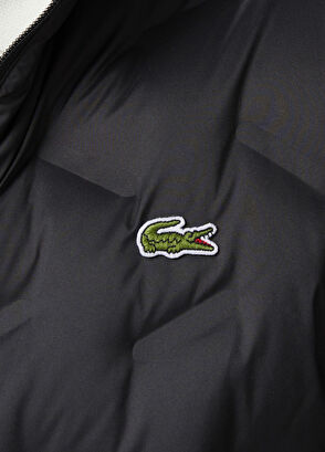 Siyah Regular Fit Dik Yaka Erkek Kapitone Mont - Görsel 6