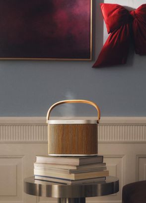Bang&Olufsen Beosound A5 Oak Tree Portable Bluetooth Speaker - 5