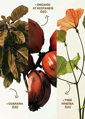 Insight Densifying Strengthening & Repairing Shampoo 350 ml - 5