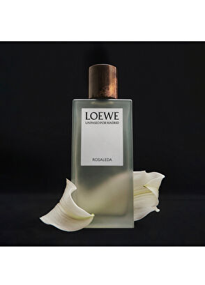 Loewe Rosaleda EDP 100 ml Parfüm - 4