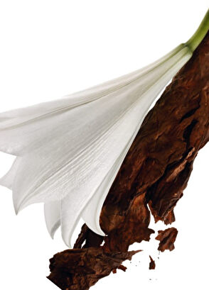 Yves Saint Laurent Mon Paris Edp 90Ml - 3