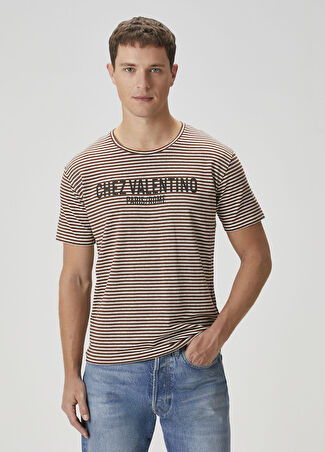Valentino Erkek Bej Kahverengi Çizgi Desenli T-Shirt L