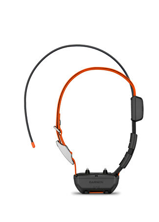 Garmin Alpha Tt 25 Turuncu Köpek Tasması -1