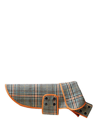 Mind The Mod Glen Plaid Journey Ekoseli Köpek Ceketi Xs -1