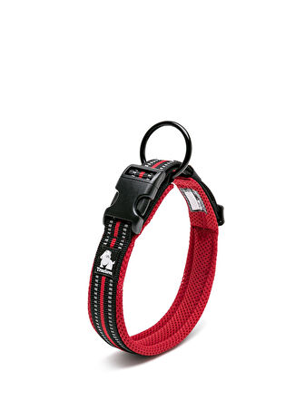 Love Mesh Yumuşak Süngerli Kırmızı Köpek Boyun Tasması L -1