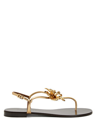Giuseppe Zanotti Kadın Siyah Gold Deri Sandalet 40 -1