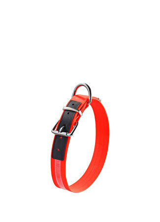 Love Durapup Turuncu Köpek Boyun Tasması L -1