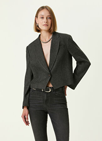 Brunello Cucinelli Kadın Kırlangıç Yaka Crop Ceket Gri 38 It