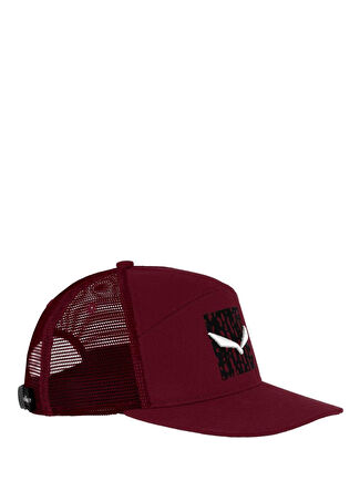Salewa Kadın Pure Salamander Logo Syrah Şapka M -1