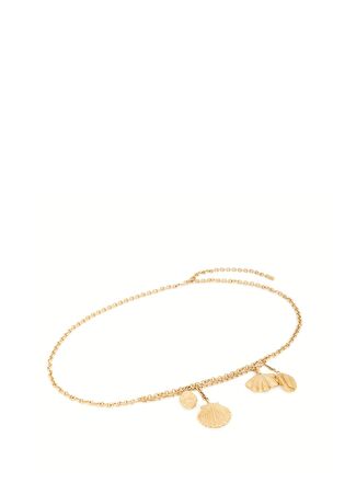 Chloe Kadın Shells Gold Kemer Altın Rengi